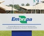 Concurso Embrapa 2024: aberto edital com salário de até R$ 12 mil