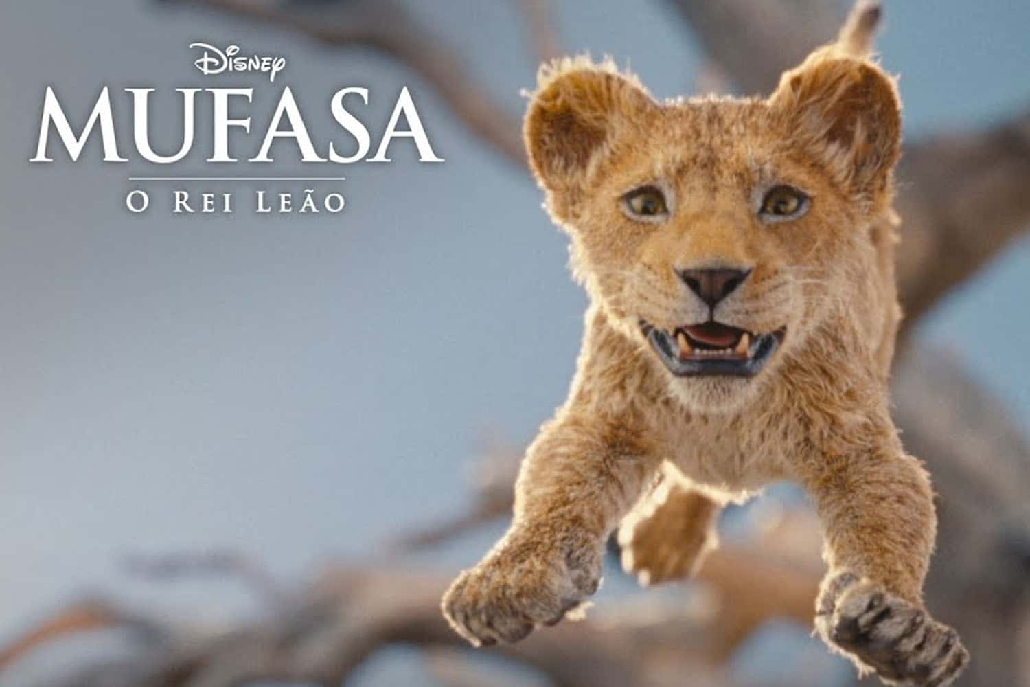 'Mufasa O Rei Leão' chega aos cinemas de Cachoeiro; veja programação