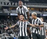 Botafogo x Novorizontino AO VIVO: onde assistir e horário