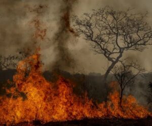 Crise climática é amplificadora de outras crises, alerta pesquisadora