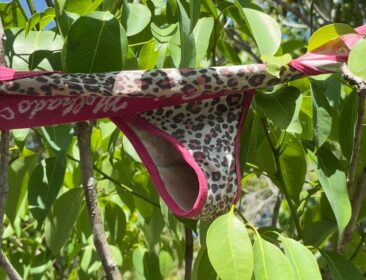 A trilha mais curiosa do Espírito Santo fica em Itapemirim; conheça