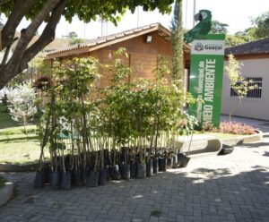 Guaçuí reafirma compromisso com a sustentabilidade e qualidade de vida Guaçuí
