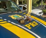 PRF apreende carro e arma de fogo em Itapemirim