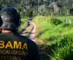 Castelo e Iconha recebem treinamento contra ataques de onças e javalis
