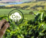 Brasil pode liderar mercado de Créditos de Carbono no mundo