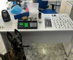 Polícia Militar apreende grande quantidade de drogas em cidade do ES