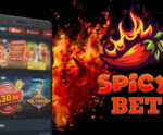 Spicy Bet: Diversão Sem Limites para Jogadores Brasileiros