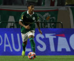 Palmeiras x Red Bull Bragantino ao vivo: onde assistir e escalações