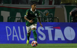 palmeiras x red bull bragantino onde assistir