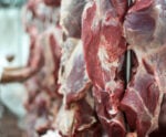 Produção de carnes atinge mais de 31 milhões de toneladas em 2024