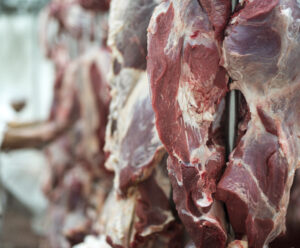 Produção de carnes atinge mais de 31 milhões de toneladas em 2024 preço carne