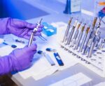 Sem mãe? Cientistas criam ser vivo a partir de dois individuos machos