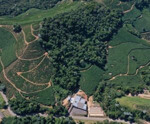 ES impulsiona cafeicultura sustentável com apoio técnico