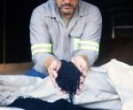 O que é biochar e para que serve?