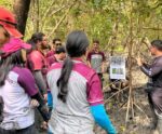 Educação ambiental aproxima estudantes do maior manguezal do planeta