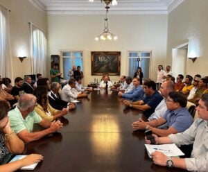 Governo ES