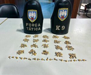 Grávida é presa por tráfico de drogas em Muniz Freire Apreensão em Muniz Freire
