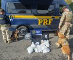 Operação da PRF e PF resulta em apreensão de entorpecentes na BR-101