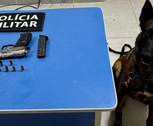 Polícia Militar prende suspeitos e apreende arma em cidade do ES arma são mateus