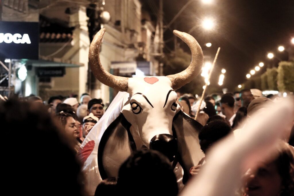 Boi Pintadinho tradicional do carnaval de Muqui