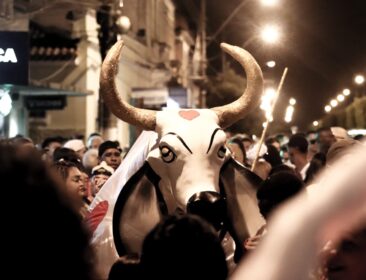 Boi Pintadinho transforma Muqui em destino de um carnaval cultural