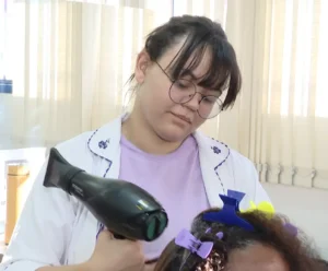 ibge serviços