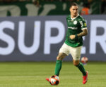 Palmeiras x Botafogo-SP AO VIVO: onde assistir o Campeonato Paulista