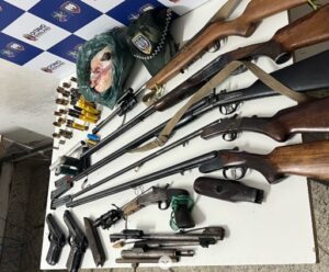 apreensão da Polícia Militar Ambiental