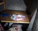 PF prende em flagrante suspeito de divulgar pornografia infantil no ES