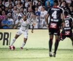 Campeonato Paulista: onde assistir Inter de Limeira e Santos ao vivo