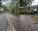 VÍDEO | Ventania deixa rastro de destruição em distrito de Cachoeiro