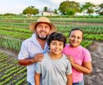 Agricultura familiar ganha força com o cooperativismo