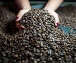 Irupi: projeto Mulheres do Café será realizado em outubro