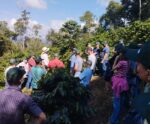 Confira agenda de eventos para cafeicultores capixabas em abril