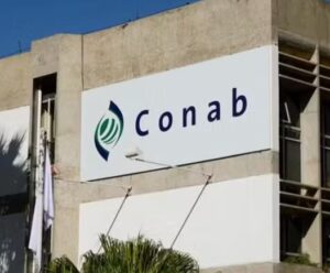 Concurso Conab tem edital com 403 vagas e salário de até R$8,1 mil! Imagem ilustra concurso conab