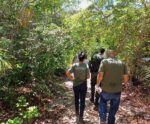 Fiscalização combate crimes ambientais na APA de Conceição da Barra