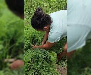 Incaper promove Dia Especial das Mulheres em Itapemirim incaper em itapemirim