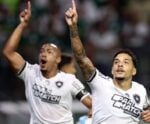 Palmeiras x Botafogo: onde assistir, horário e palpite