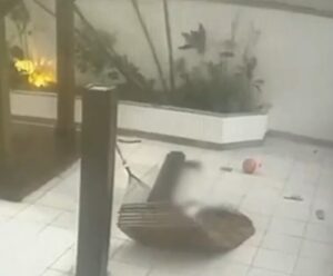 VÍDEO | Criança morre esmagada por pilastra enquanto brincava em balanço pilastra cai em menina