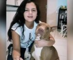 Mulher de 31 anos morre atacada pelo próprio pitbull
