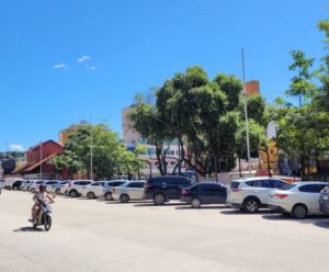 Semana Santa em Cachoeiro: venda de palmito será na Linha Vermelha