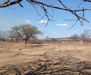 Super El Niño: meteorologista prevê próxima grande seca para o Brasil
