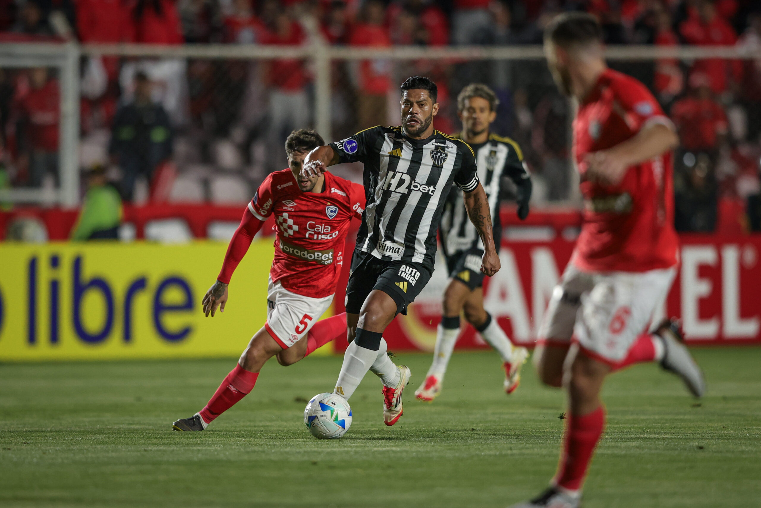 Foto: Pedro Souza/Galo Foto: Pedro Souza/Galo