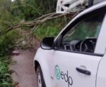 EDP orienta sobre cuidados com a eletricidade em dias de chuva intensa