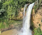 TCE-ES verifica cumprimento de melhorias no Parque Ecológico Cachoeira
