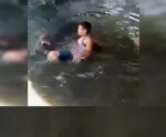 Imagens fortes: jovem é atacado por crocodilo durante selfie