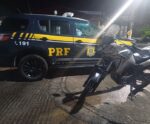 PRF recupera, em Fundão, moto clonada uma semana após furto