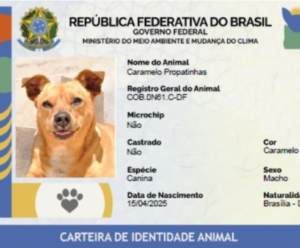 SinPatinhas: veja como fazer o RG do seu pet Imagem ilustra sinpatinhas reg animal gov
