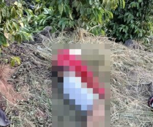 Corpo de motociclista é encontrado às margens de rodovia em Castelo Acidente em Castelo