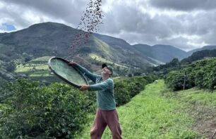 Novas gerações despontam na produção de café na Região do Caparaó